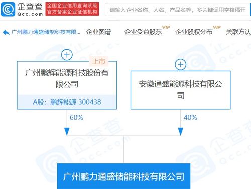 鵬輝能源參股成立儲能科技新公司，注冊資本達1億元，拓展信息系統(tǒng)集成服務(wù)